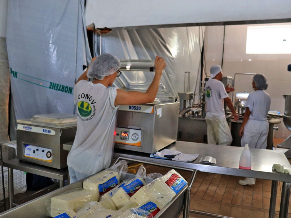 Projeto Mais Leite Saud�vel, apoiado pelo Programa REM MT,