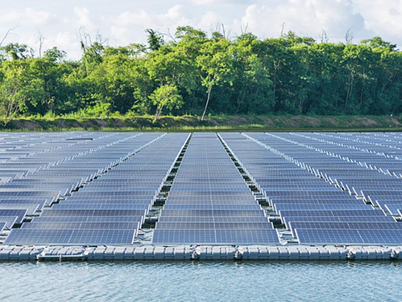Energia renov�vel no agro: solar e biomassa transformando fazendas brasileiras