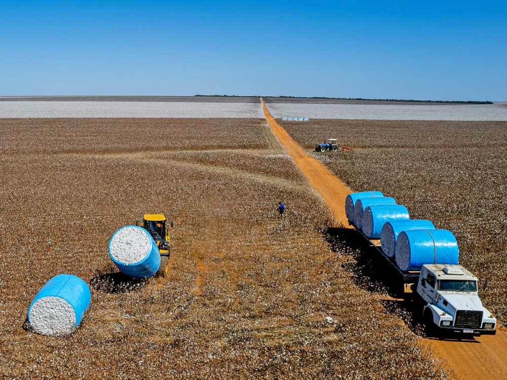  PIB de Mato Grosso registra a maior varia��o percentual do pa�s e cresce mais de 1.230% em 20 anos