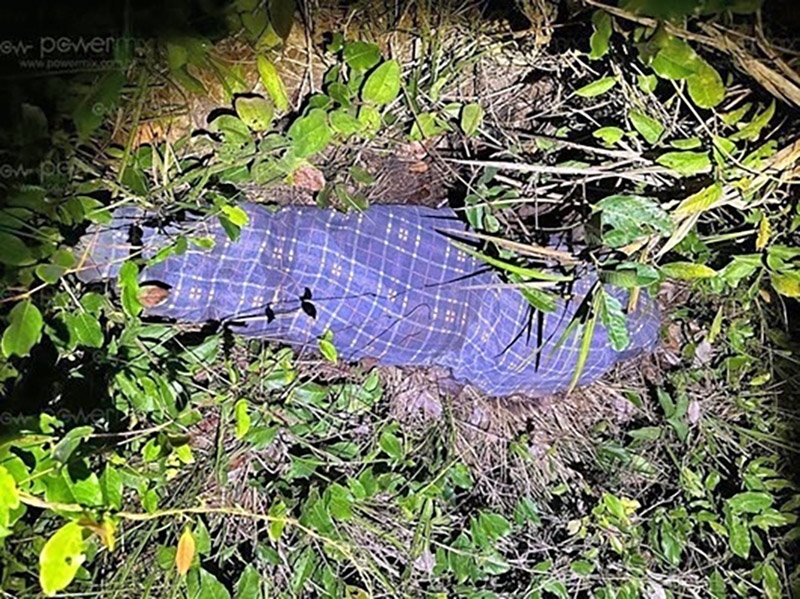 Corpo de mulher enrolado em len�ol � desovado em matagal perto de estrada em Deciol�ndia