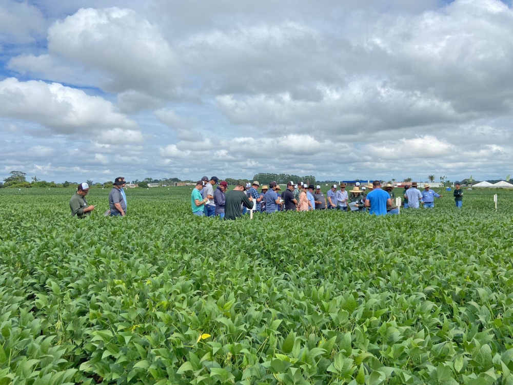 Produtores do extremo norte de Mato Grosso j� podem buscar dados de pesquisa e servi�os agron�micos direcionados