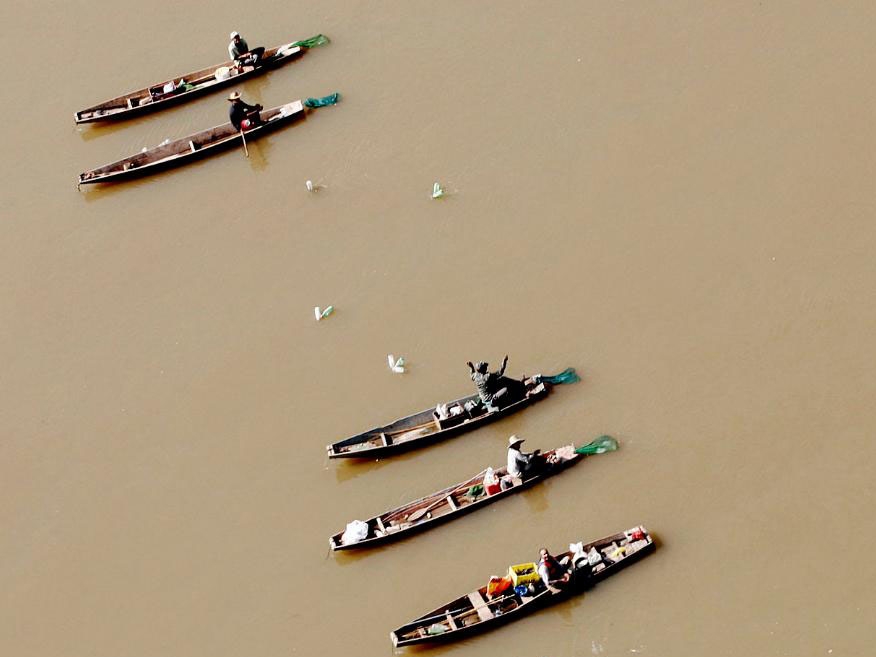  Sema realiza live nesta sexta-feira (28) sobre regras da pesca em Mato Grosso