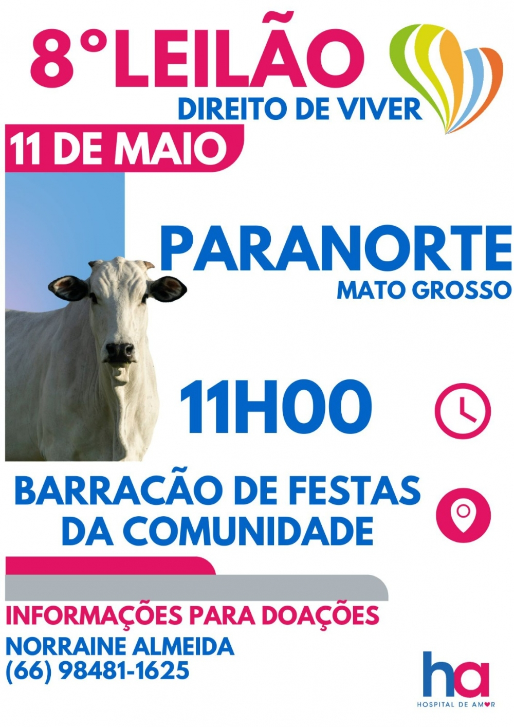 Comunidade de Paranorte se prepara para o 8� Leil�o Direito de Viver em prol do Hospital de Amor