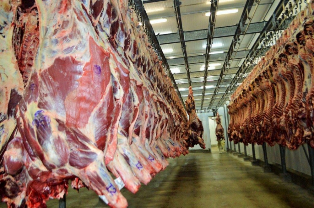 Mato Grosso lidera produ��o industrial com carne bovina, mas v� queda na receita em 2025, aponta IBGE