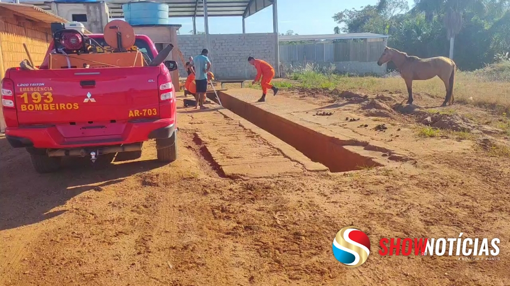 Bombeiros resgatam potrinho de vala em Lava Jato no bairro Bandeirantes, em Juara