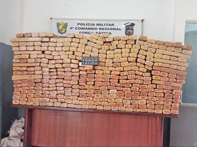  Opera��o flagra 490 kg de maconha e prende jovem em Rondon�polis