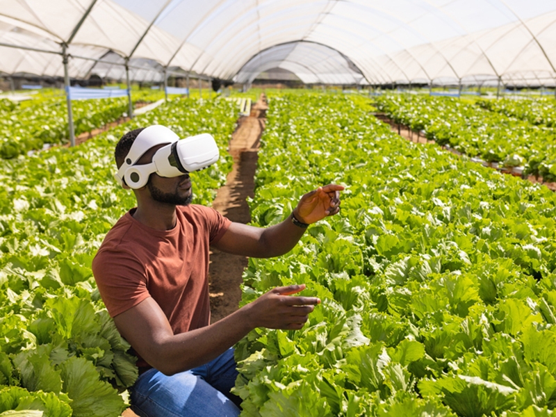 Realidade Aumentada no campo: como a tecnologia est� transformando o treinamento agr�cola no Brasil