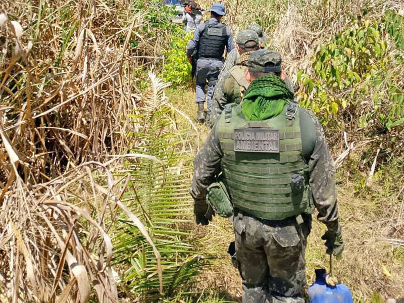  Pol�cia Militar fecha �rea de desmatamento ilegal em Colniza e prende tr�s homens em flagrante