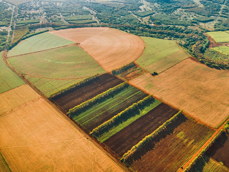 Previs�es Hiperlocais: a meteorologia de precis�o que transforma o dia a dia do produtor rural brasileiro