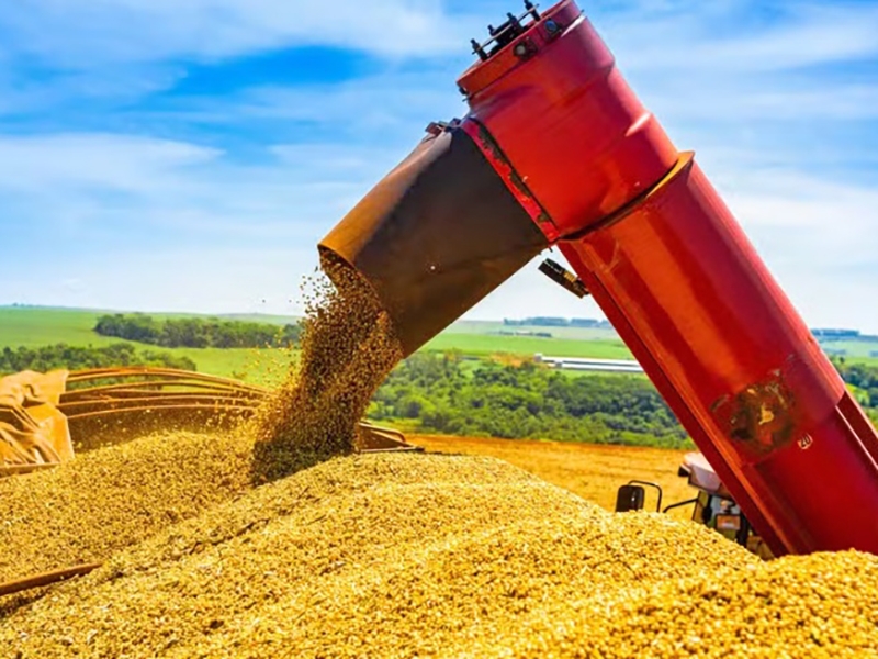 Soja sobe mais de 2% em Mato Grosso, em agosto 