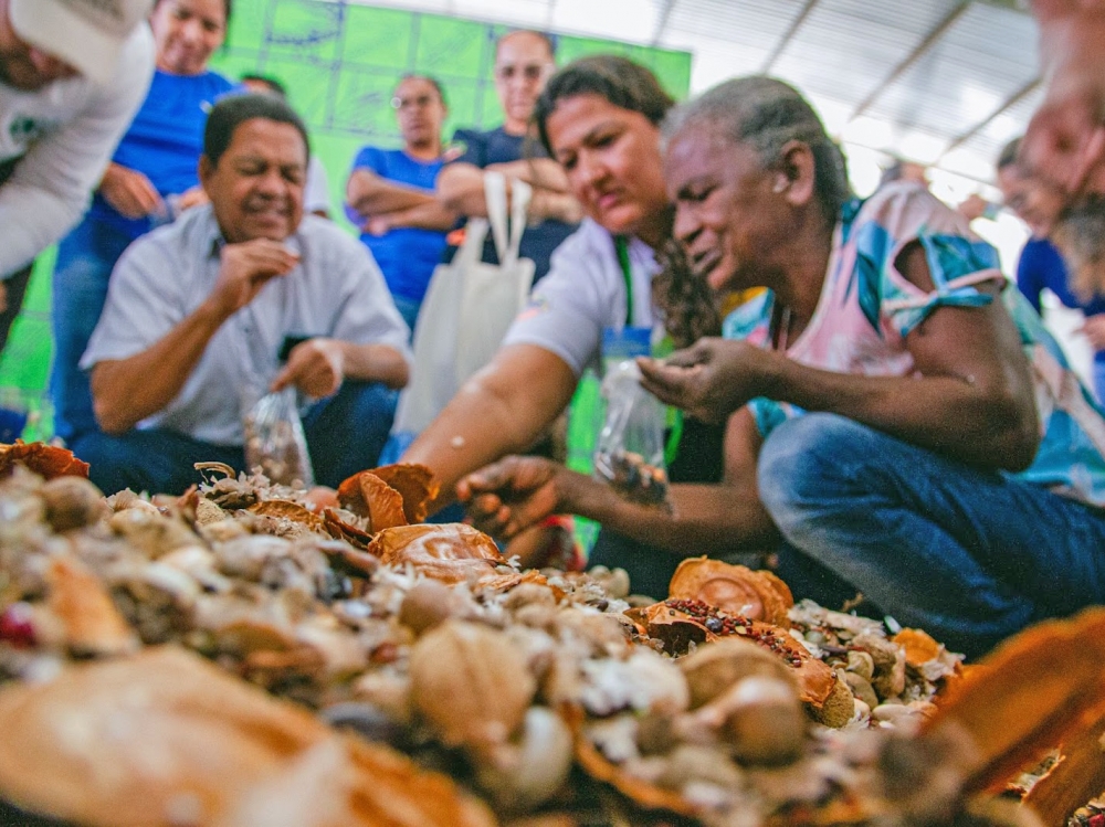   Projeto apoiado pelo Programa REM MT impulsiona produ��o de sementes e promove pr�ticas de conserva��o em 17 munic�pios de Mato Grosso