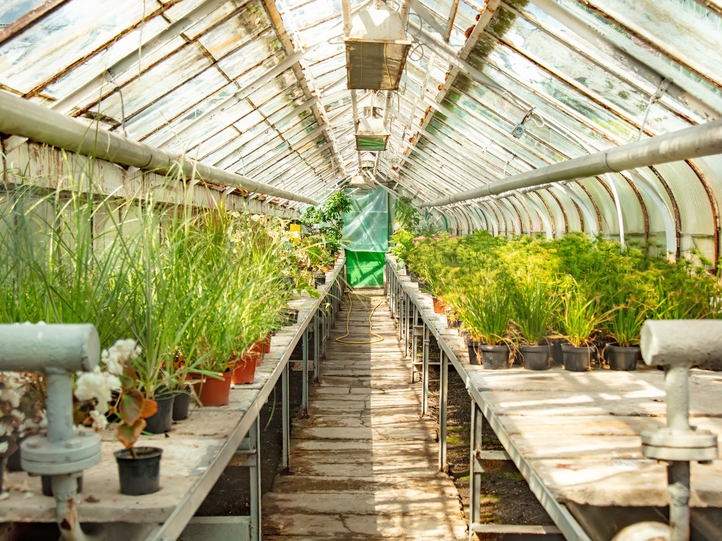 Estufas inteligentes: agricultura em ambiente controlado com m�xima efici�ncia
