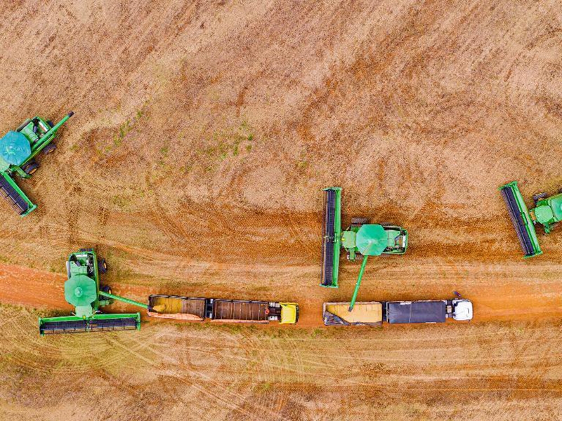  Mato Grosso consolida estrat�gia de diversifica��o internacional com abertura de 15 novos mercados