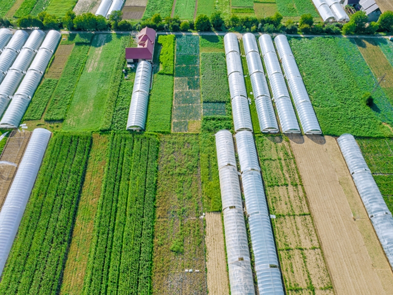 Do c�u ao campo: como dados captados por aeronaves transformam a gest�o agr�cola