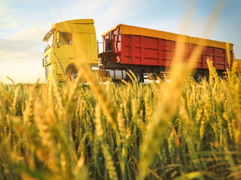 Agro brasileiro amplia lideran�a global e garante abastecimento interno e externo