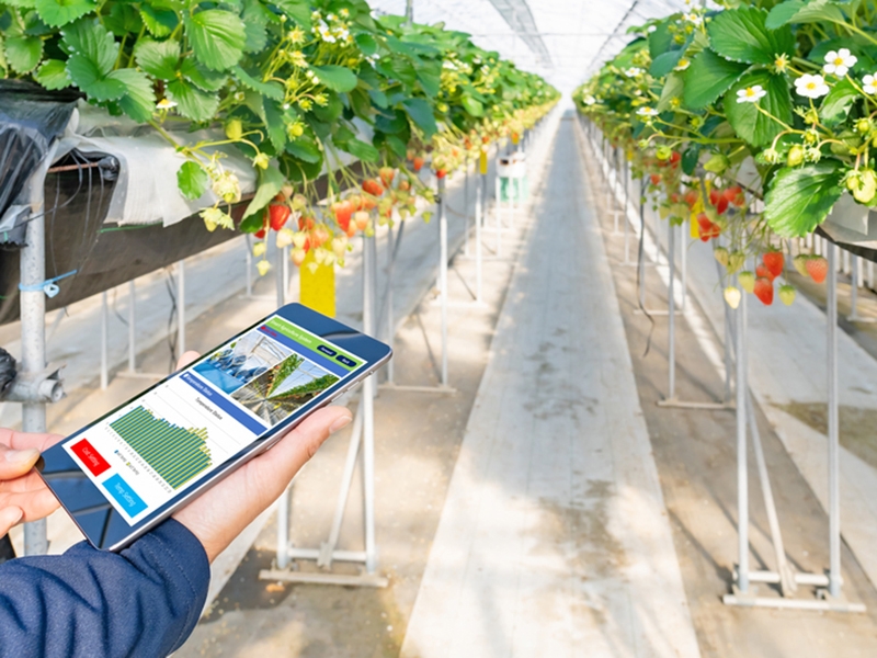 Agro do futuro: tecnologia e sustentabilidade redesenham a produ��o no Brasil