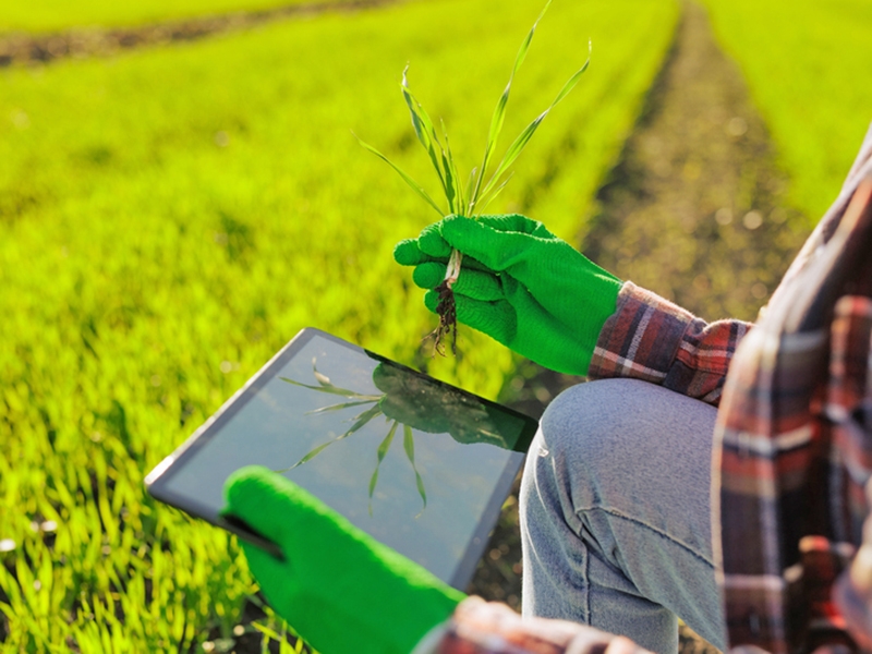 Agricultura de precis�o avan�a e redefine efici�ncia no campo brasileiro