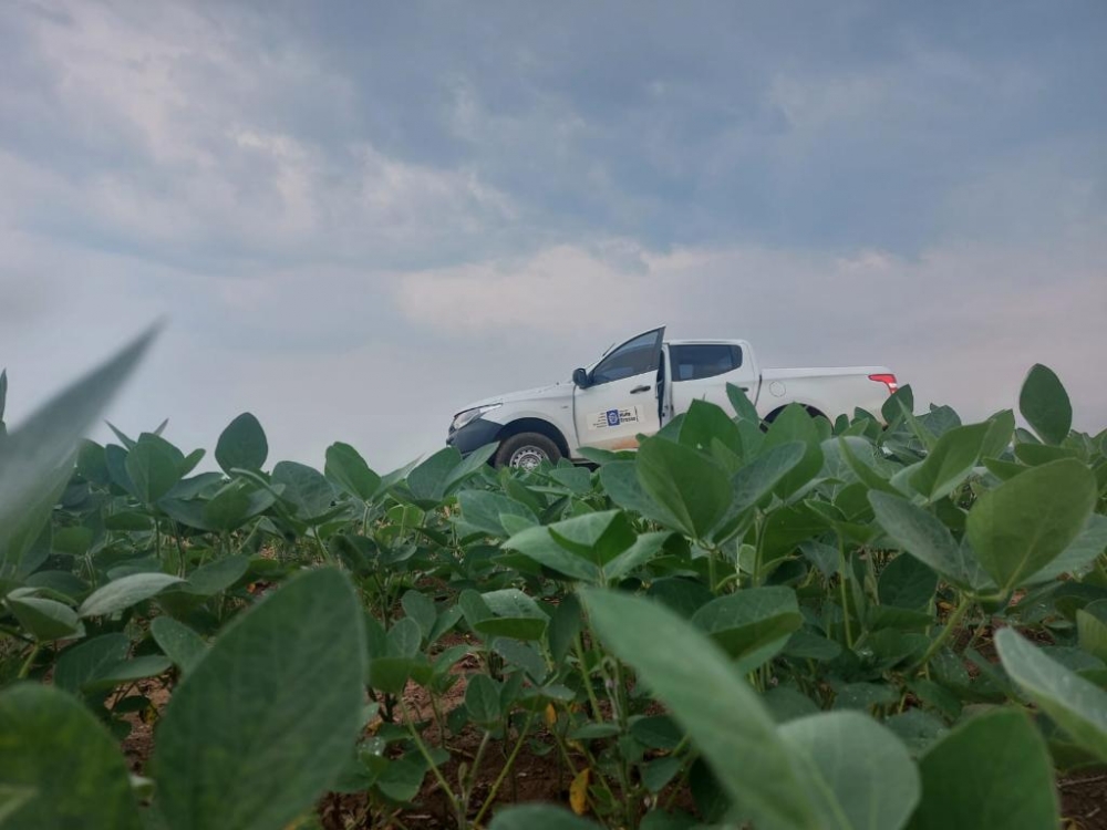 Vazio sanit�rio da soja j� est� em vig�ncia em Mato Grosso