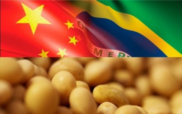 China quer sincronia com Brasil em transg�nicos