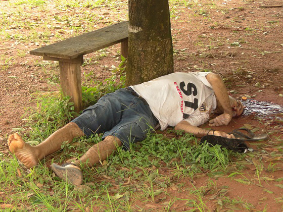 Homem � encontrado morto a pauladas no interior do munic�pio de Novo Horizonte do Norte.