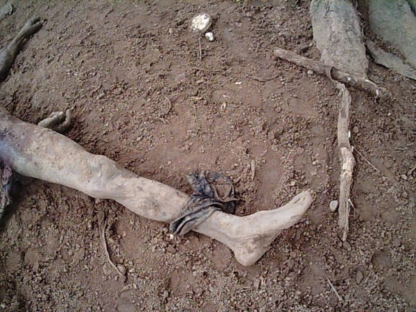 Homem suspeito de Zoofilia � encontrado morto dentro de chiqueiro de fazenda em Tapurah.
