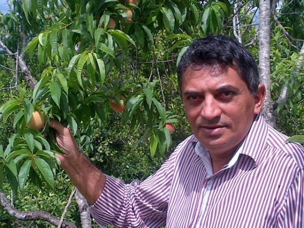 Hudson Saturnino, Gerente de Desenvolvimento Econ�mico da AMM: Agricultura Familiar: � preciso voltar e querer.