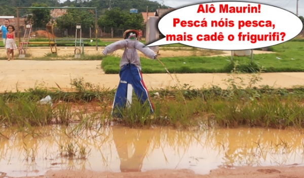 J� que a bananeira n�o deu certo, voltamos ao peixe. 
