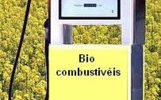 Biocombust�veis s�o aposta das a�reas para reduzir emiss�es