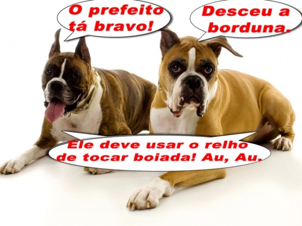 Azedou o relacionamento entre prefeitura e c�mara de vereadores de Juara. 