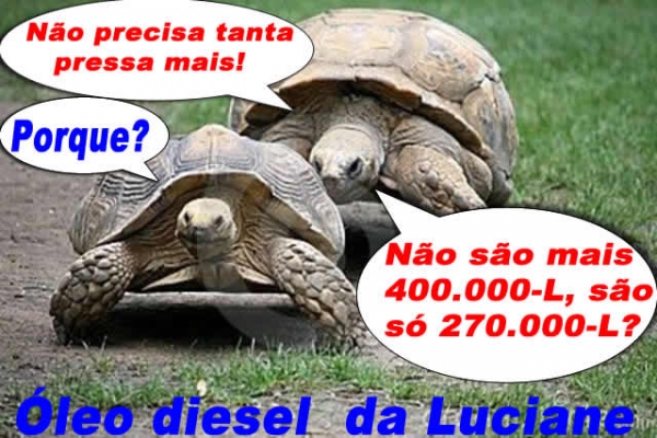Frota vai em busca do �leo diesel de Luciane Bezerra