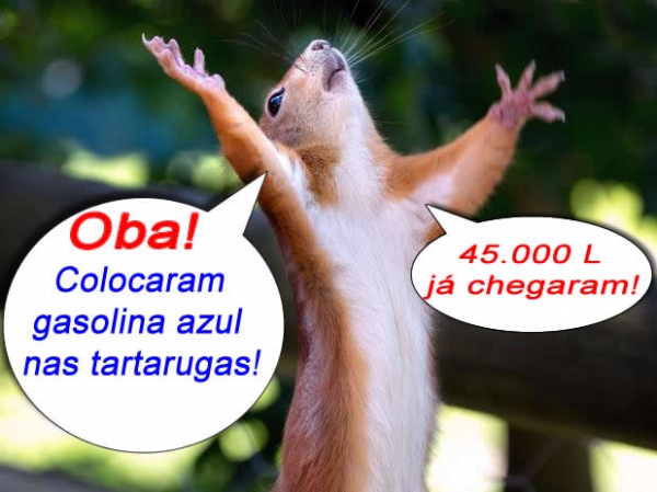 Com gasolina azul no tanque, tartarugas trazem a primeira carga de �leo diesel da Luciane.   