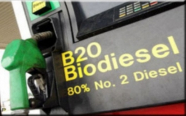 Biodiesel agrega valor �s cadeias produtivas da soja e da carne bovina