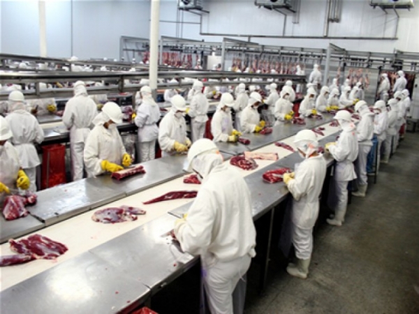 Produtividade baixa impede que Brasil cres�a mais