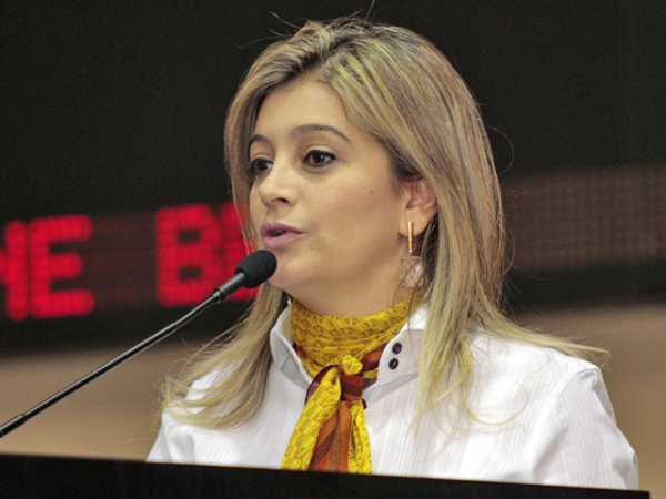 Deputada Luciane Bezerra consegue balsa para o Rio Canam� em Colniza.