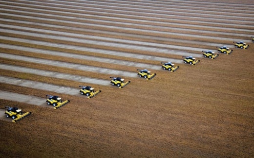 Agricultura empresarial financia R$ 107,2 bilh�es