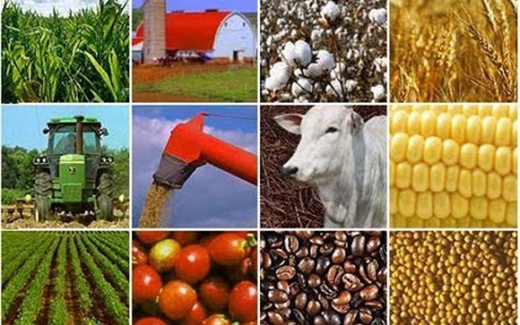 Produtos agropecu�rios sobem, metais e energia caem