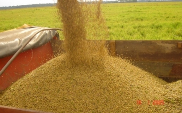 Pre�os da soja crescem quase 3% em uma semana em Mato Grosso