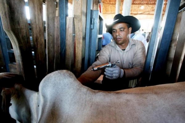 Campanha de vacina��o em Mato Grosso come�a dia 1� de maio
