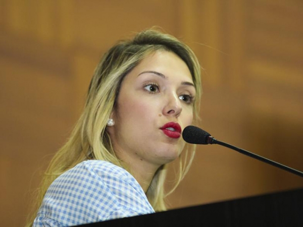 Projeto de Lei de Janaina Riva cria Casas Transit�rias para mulheres v�timas de viol�ncia