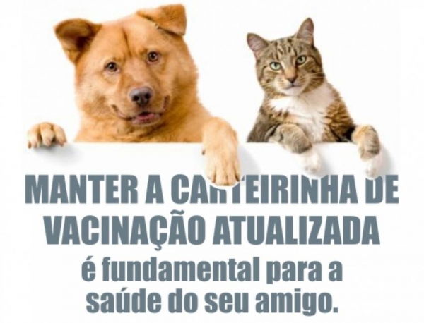 Secretaria de Sa�de divulga o calend�rio de vacina��o contra a raiva animal