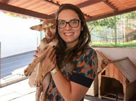 Lei de Janaina Riva que trata da prote��o e controle populacional de animais � sancionada