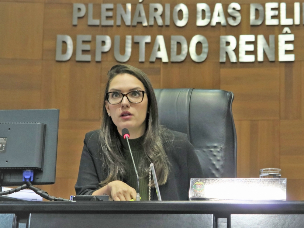 Janaina apresenta emendas impositivas � LOA e espera contribuir com o desenvolvimento dos munic�pios