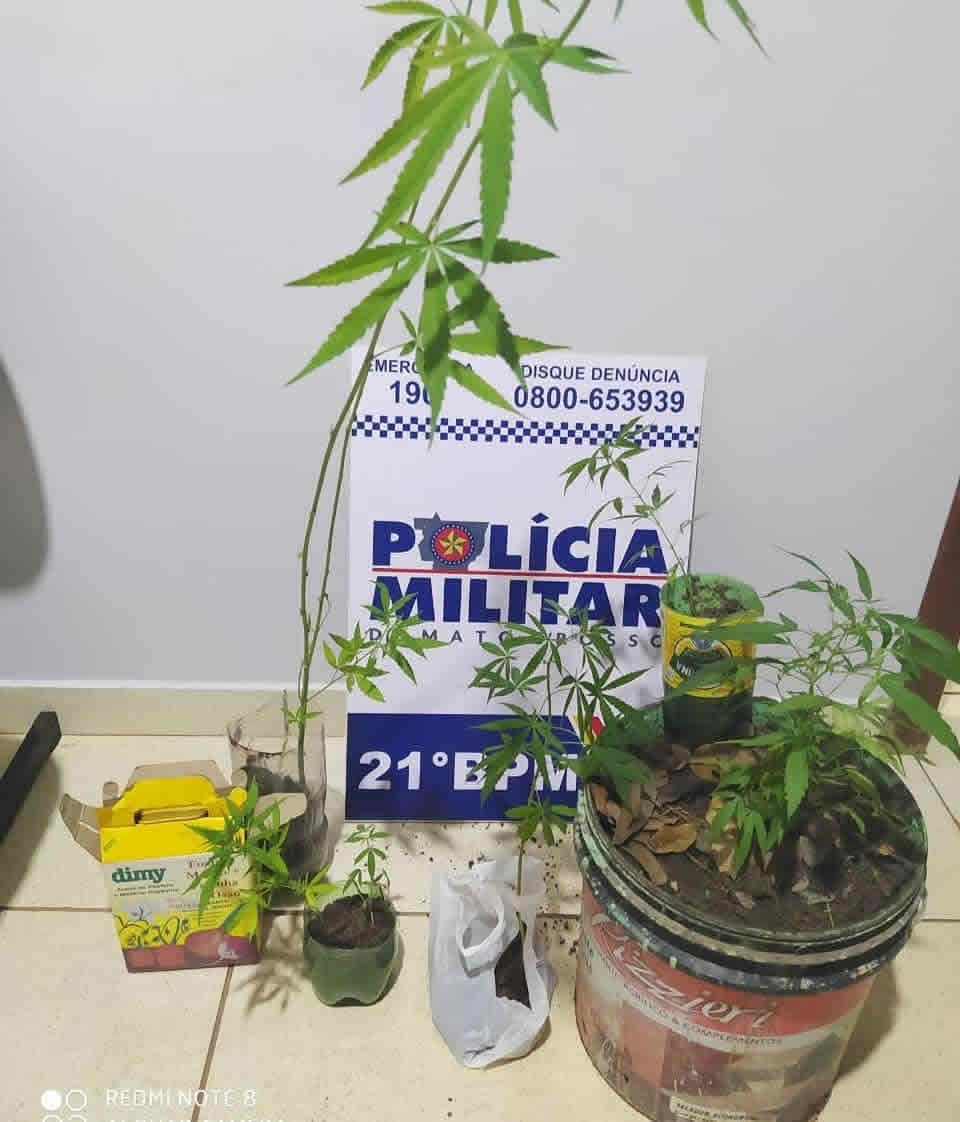 Show de Notcias