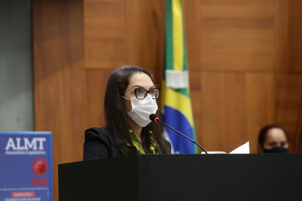 Deputados derrubam vetos do governo a projetos de Janaina e mulheres de MT ter�o Mam�vel