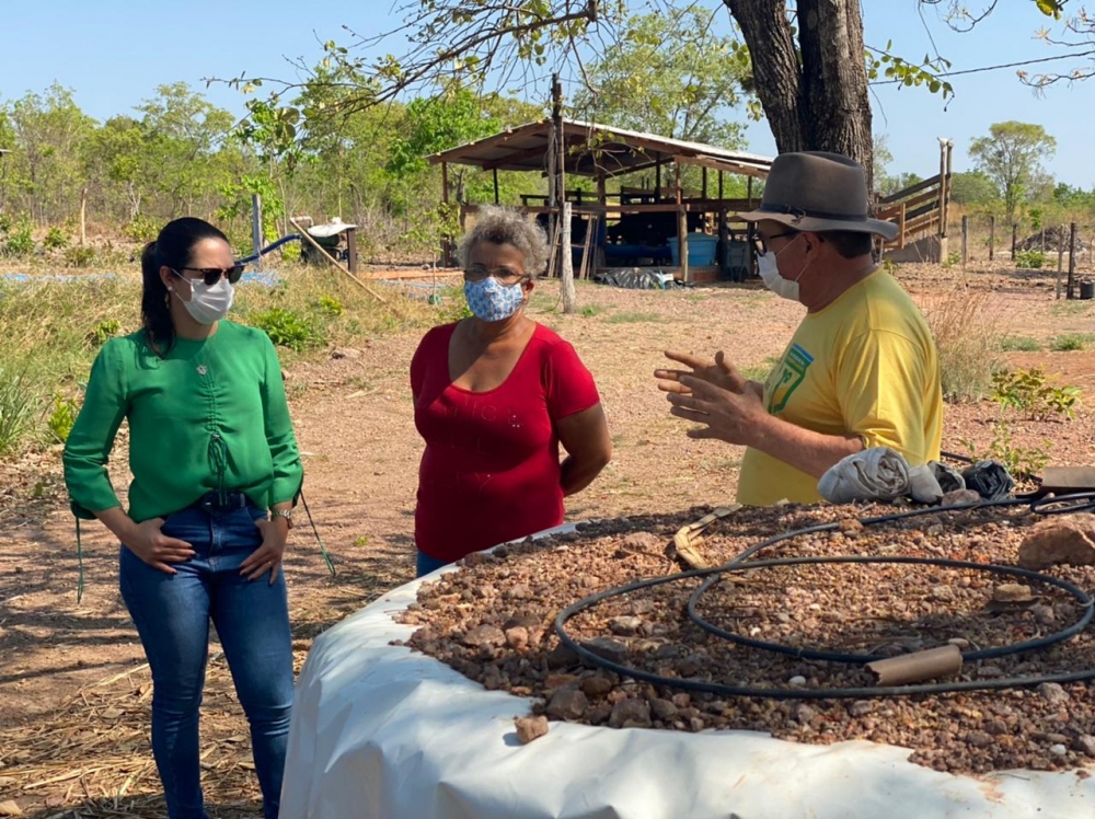 Fundo de Aval Garantidor pode mudar realidade de pequenos produtores; Deputada pede celeridade em regulamenta��o
