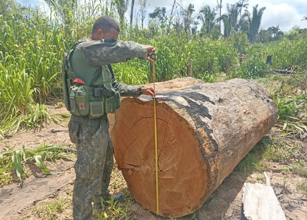 Batalho Ambiental apreende maquinrios, aplica R$ 321 mil em multa e prende homem por explorao ilegal de madeira