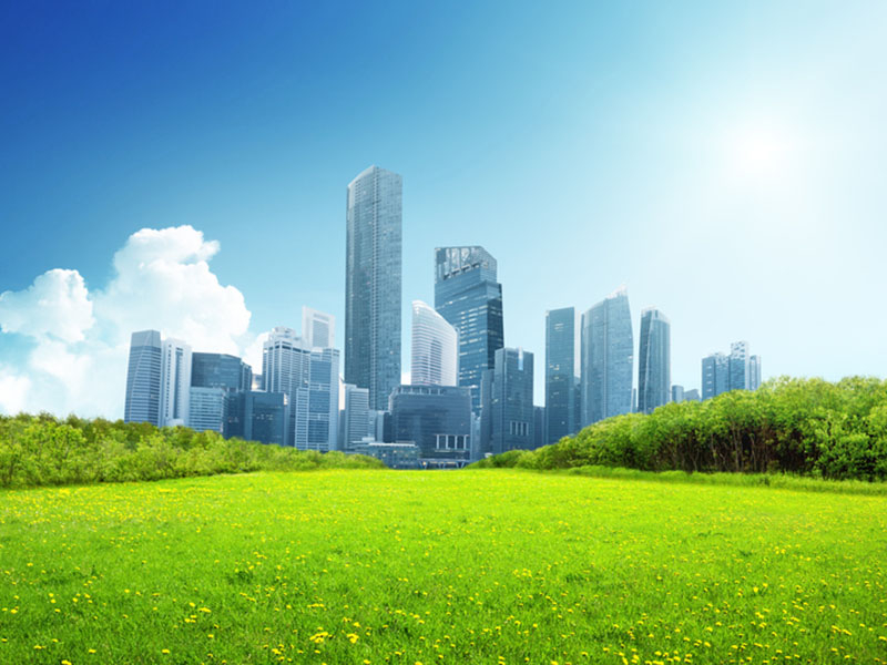 De consumidor para coprodutor: a nova relação entre campo e cidade