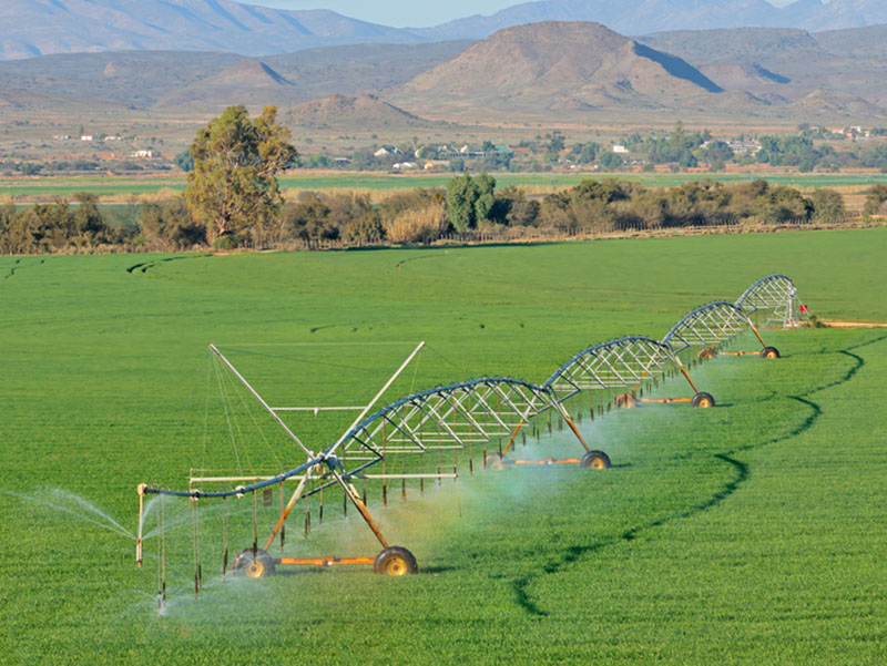 Planejamento hídrico transforma a gestão rural diante das mudanças no clima