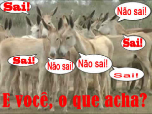 Enquanto isso, nas ruas da cidade o assunto é um só: o homem sai ou não sai?
