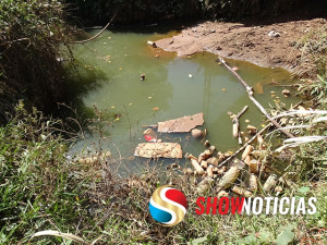 Lava Jato polui água e cria foco de mosquito da dengue.